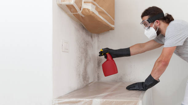Professional Attic Mold Remediation technician working in Harrisburg, OR