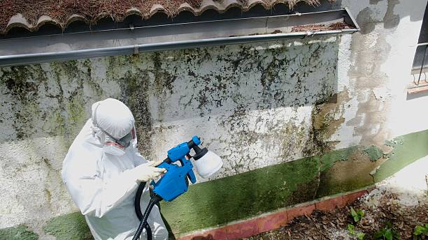 Top rated local Attic Mold Remediation specialists in Harrisburg, OR